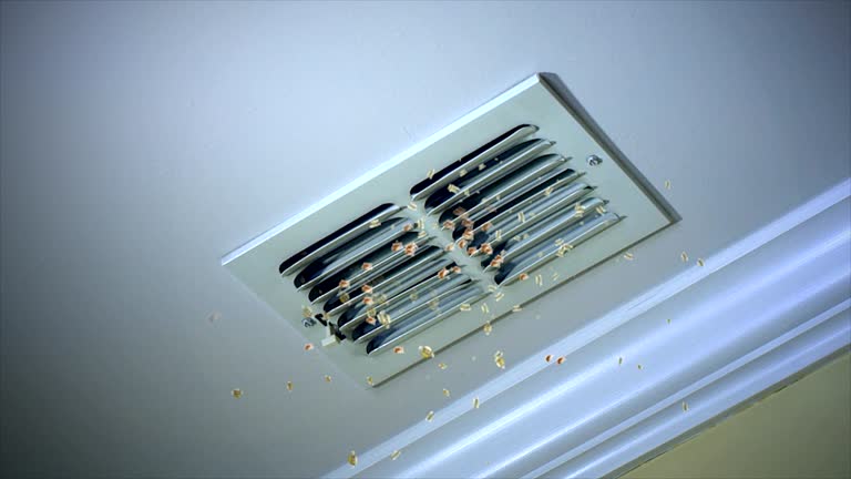 Best Air Duct Inspection  in Juno Ridge, FL